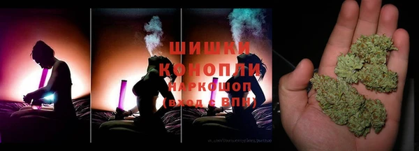 сатива Абинск